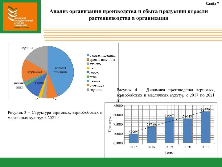 Слайд 7 Анализ организации производства и сбыта продукции отрасли растениеводства в