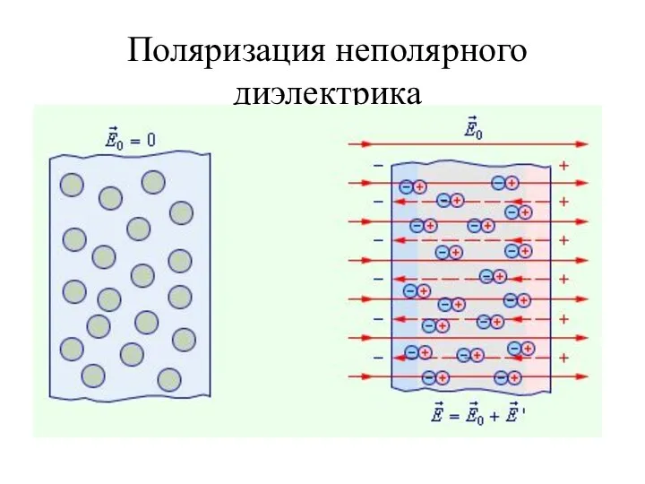 Поляризация неполярного диэлектрика