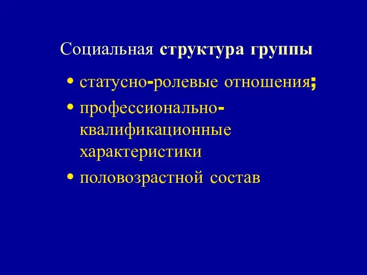 Социальная структура группы статусно-ролевые отношения; профессионально-квалификационные характеристики половозрастной состав