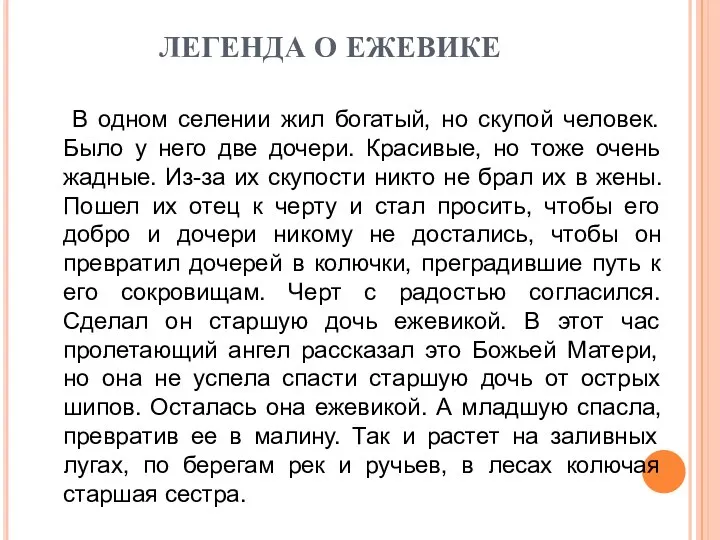 ЛЕГЕНДА О ЕЖЕВИКЕ В одном селении жил богатый, но скупой человек.