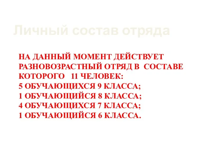 НА ДАННЫЙ МОМЕНТ ДЕЙСТВУЕТ РАЗНОВОЗРАСТНЫЙ ОТРЯД В СОСТАВЕ КОТОРОГО 11 ЧЕЛОВЕК: