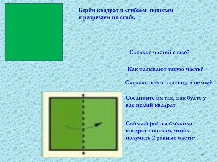 Берём квадрат и сгибаем пополам и разрезаем по сгибу. Сколько частей