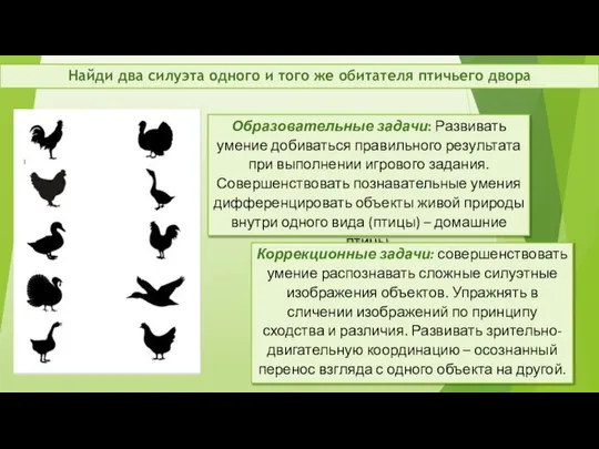 Найди два силуэта одного и того же обитателя птичьего двора Образовательные