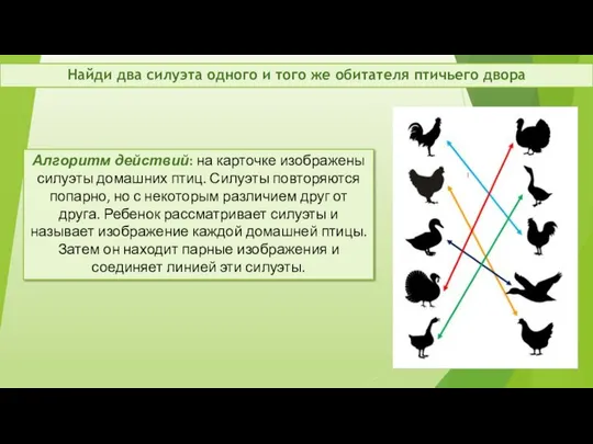 Алгоритм действий: на карточке изображены силуэты домашних птиц. Силуэты повторяются попарно,