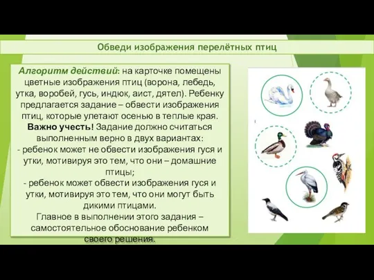 Алгоритм действий: на карточке помещены цветные изображения птиц (ворона, лебедь, утка,