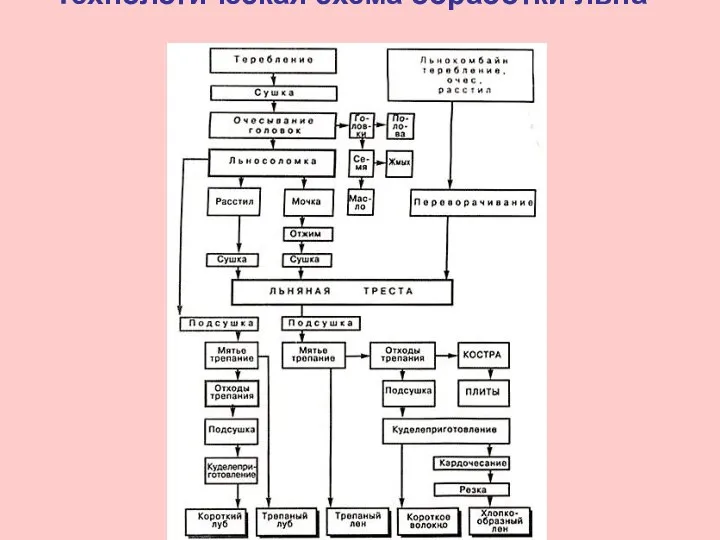 Технологическая схема обработки льна