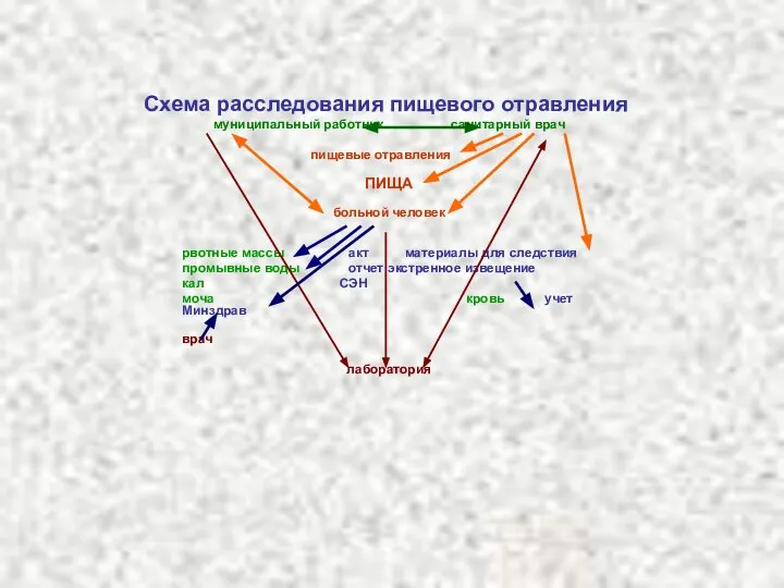 Схема расследования пищевого отравления муниципальный работник санитарный врач пищевые отравления ПИЩА