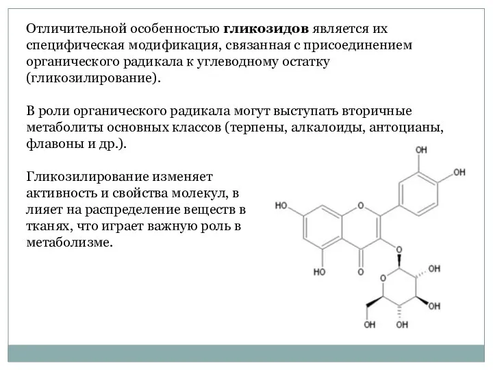 Отличительной особенностью гликозидов является их специфическая модификация, связанная с присоединением органического