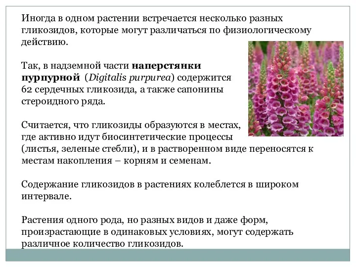 Иногда в одном растении встречается несколько разных гликозидов, которые могут различаться