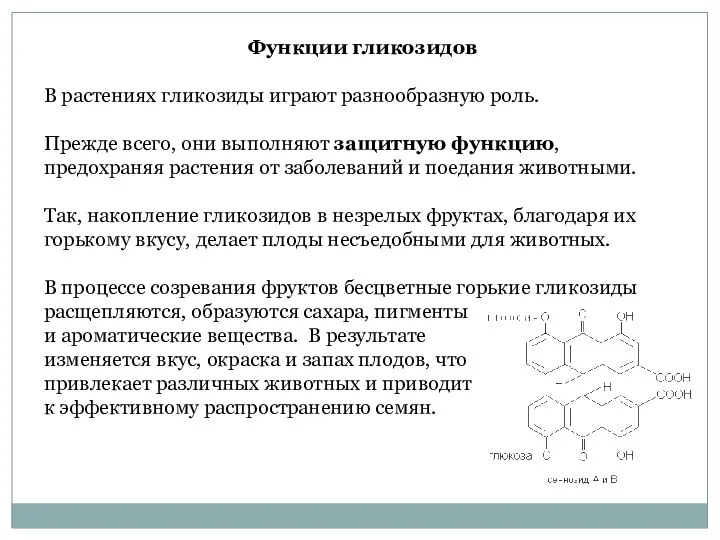 Функции гликозидов В растениях гликозиды играют разнообразную роль. Прежде всего, они