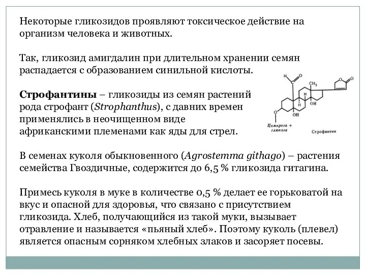 Некоторые гликозидов проявляют токсическое действие на организм человека и животных. Так,