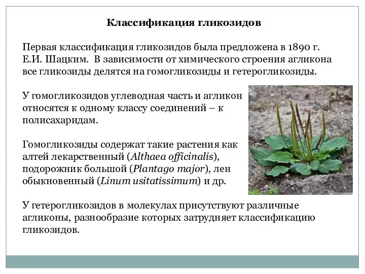 Классификация гликозидов Первая классификация гликозидов была предложена в 1890 г. Е.И.