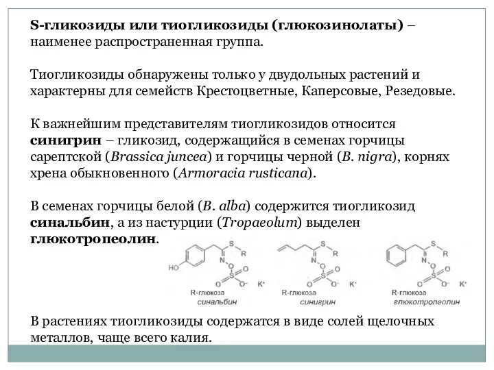 S-гликозиды или тиогликозиды (глюкозинолаты) – наименее распространенная группа. Тиогликозиды обнаружены только