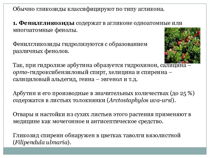 Обычно гликозиды классифицируют по типу агликона. 1. Фенилгликозиды содержат в агликоне