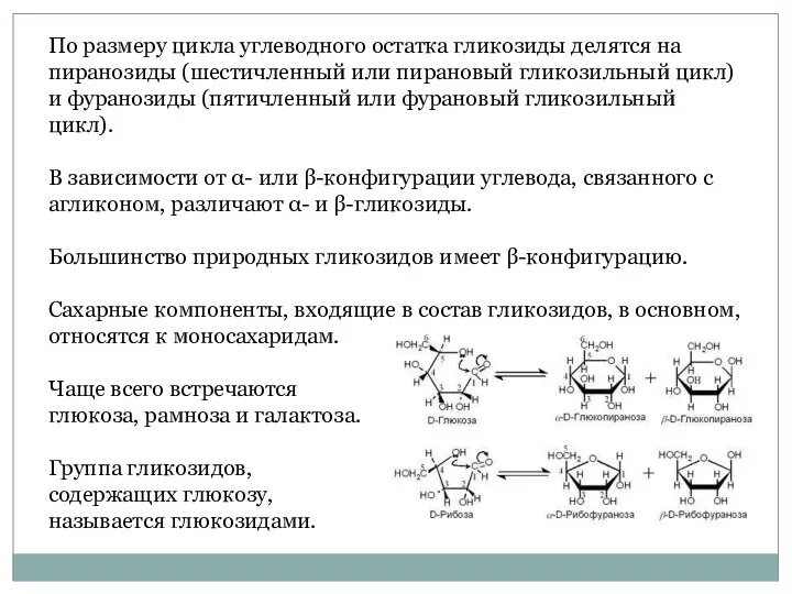 По размеру цикла углеводного остатка гликозиды делятся на пиранозиды (шестичленный или