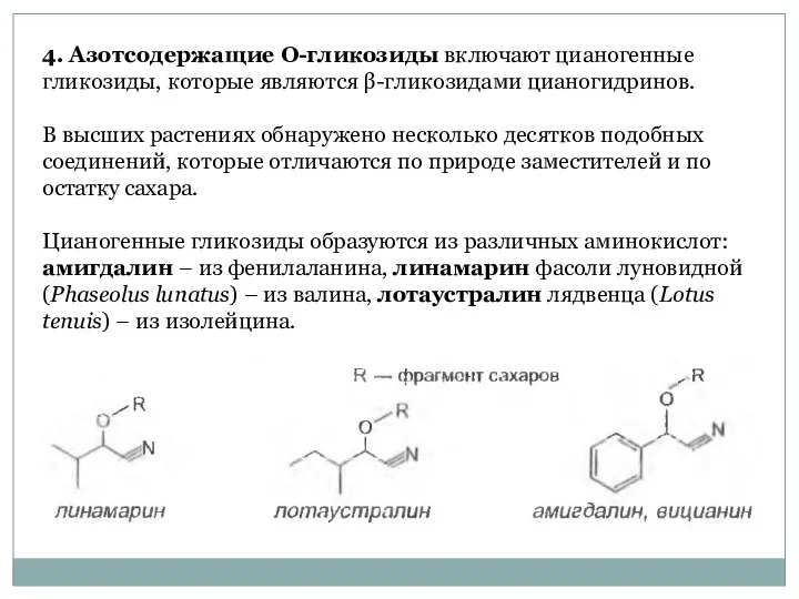 4. Азотсодержащие О-гликозиды включают цианогенные гликозиды, которые являются β-гликозидами цианогидринов. В