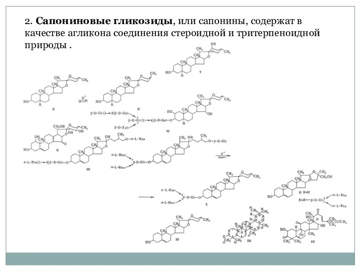 2. Сапониновые гликозиды, или сапонины, содержат в качестве агликона соединения стероидной и тритерпеноидной природы .