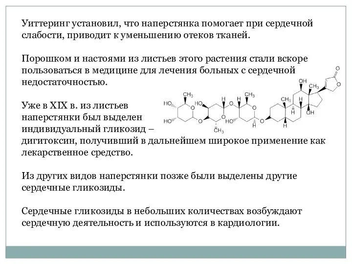 Уиттеринг установил, что наперстянка помогает при сердечной слабости, приводит к уменьшению