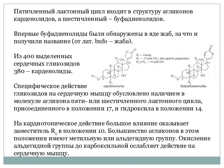 Пятичленный лактонный цикл входит в структуру агликонов карденолидов, а шестичленный –