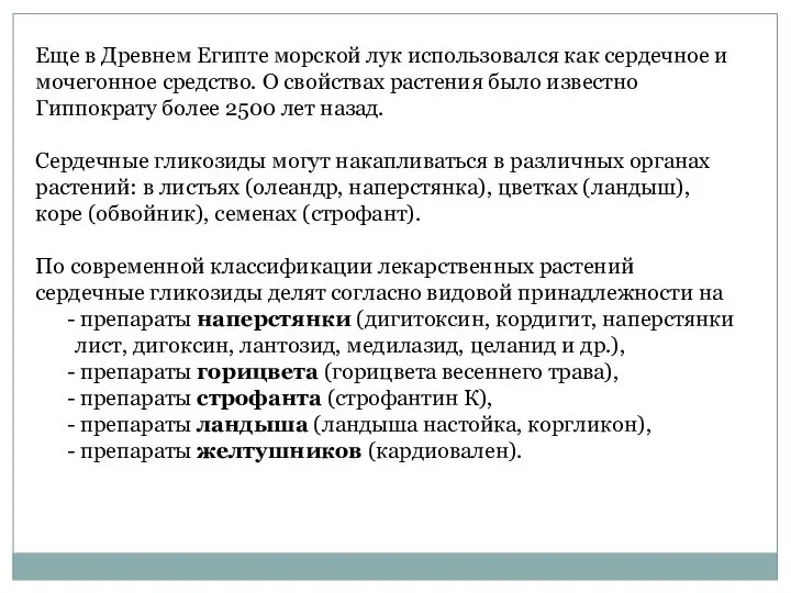 Еще в Древнем Египте морской лук использовался как сердечное и мочегонное