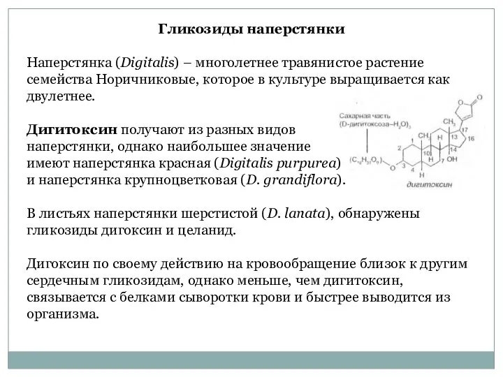 Гликозиды наперстянки Наперстянка (Digitalis) – многолетнее травянистое растение семейства Норичниковые, которое