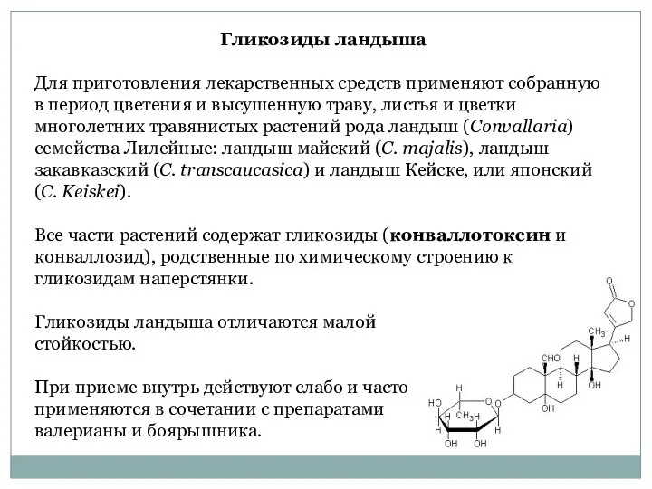 Гликозиды ландыша Для приготовления лекарственных средств применяют собранную в период цветения