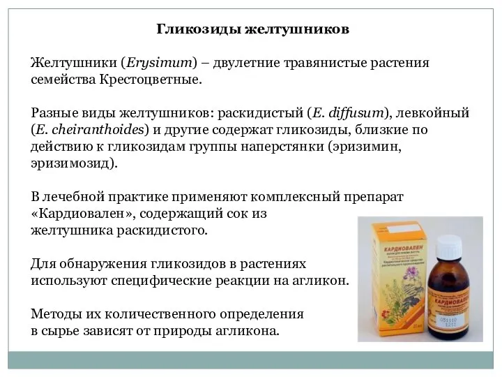 Гликозиды желтушников Желтушники (Erysimum) – двулетние травянистые растения семейства Крестоцветные. Разные