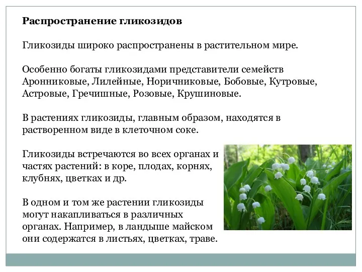 Распространение гликозидов Гликозиды широко распространены в растительном мире. Особенно богаты гликозидами