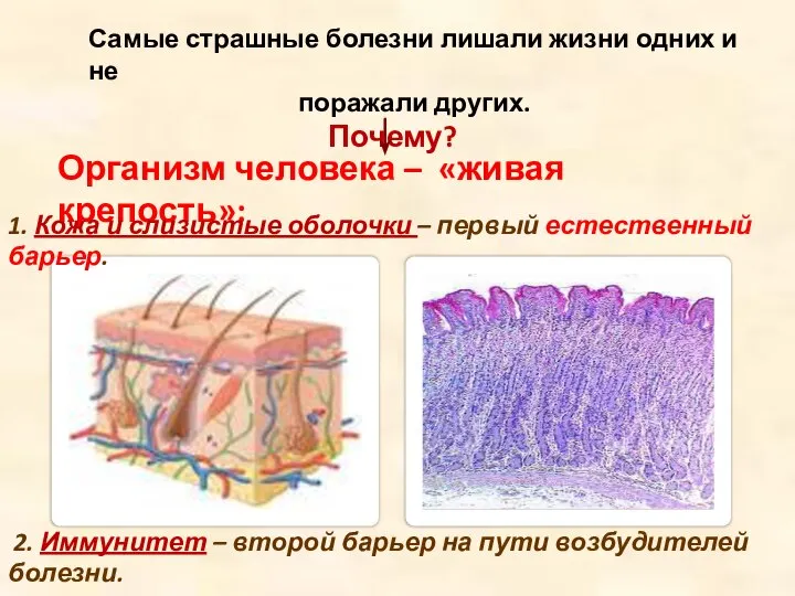 Самые страшные болезни лишали жизни одних и не поражали других. Почему?