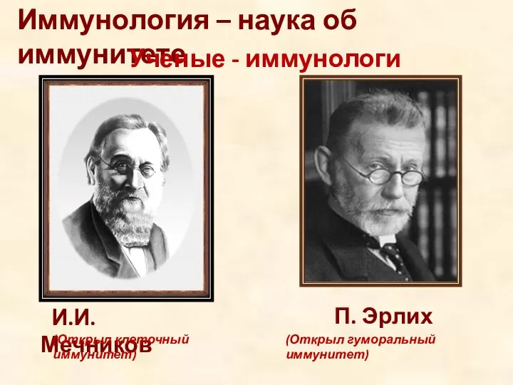 Иммунология – наука об иммунитете И.И.Мечников П. Эрлих Ученые - иммунологи