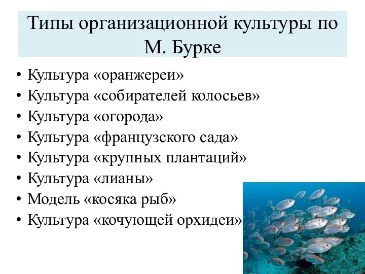 Типы организационной культуры по М. Бурке Культура «оранжереи» Культура «собирателей колосьев»