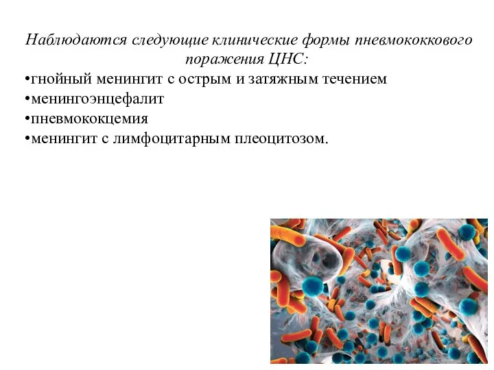 Наблюдаются следующие клинические формы пневмококкового поражения ЦНС: гнойный менингит с острым