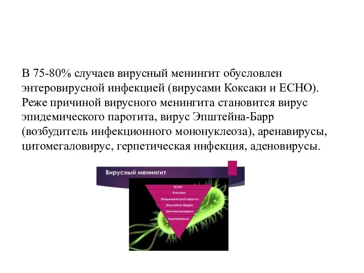 В 75-80% случаев вирусный менингит обусловлен энтеровирусной инфекцией (вирусами Коксаки и