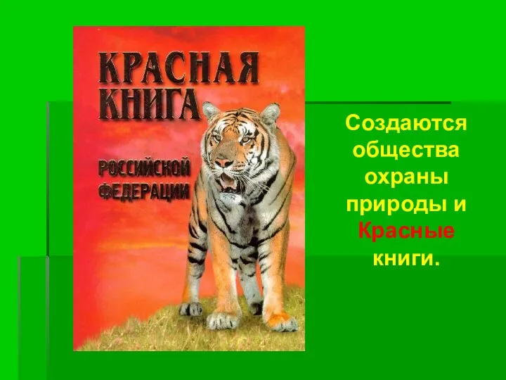 Создаются общества охраны природы и Красные книги.