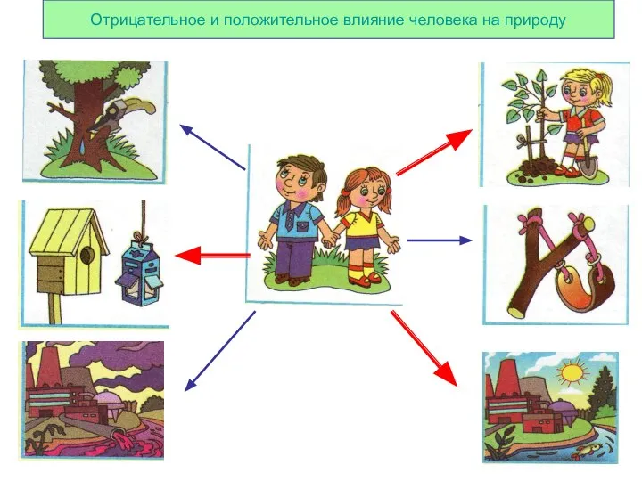 Отрицательное и положительное влияние человека на природу