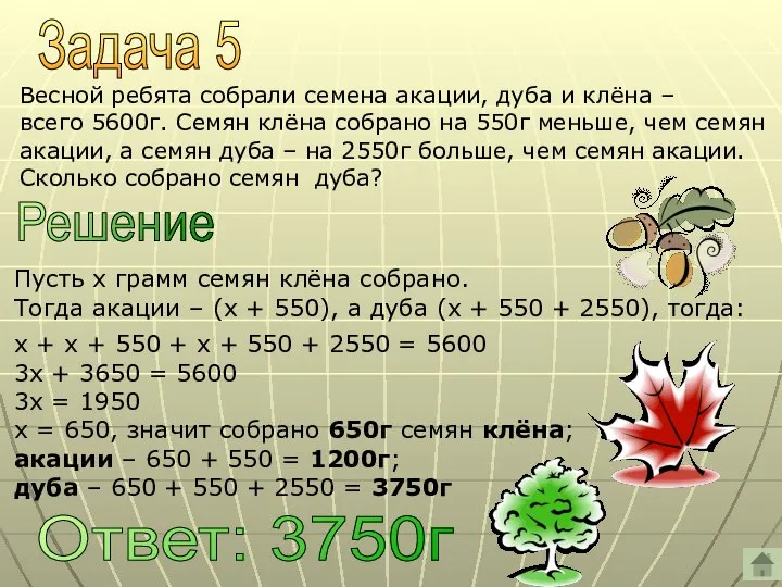 Задача 5 Весной ребята собрали семена акации, дуба и клёна –