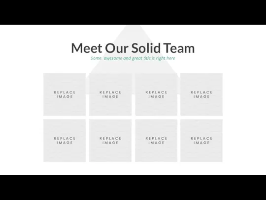 Meet Our Solid Team Some awesome and great title is right here