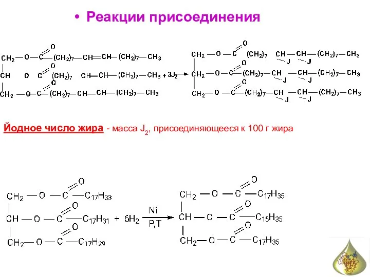 Реакции присоединения Йодное число жира - масса J2, присоединяющееся к 100 г жира