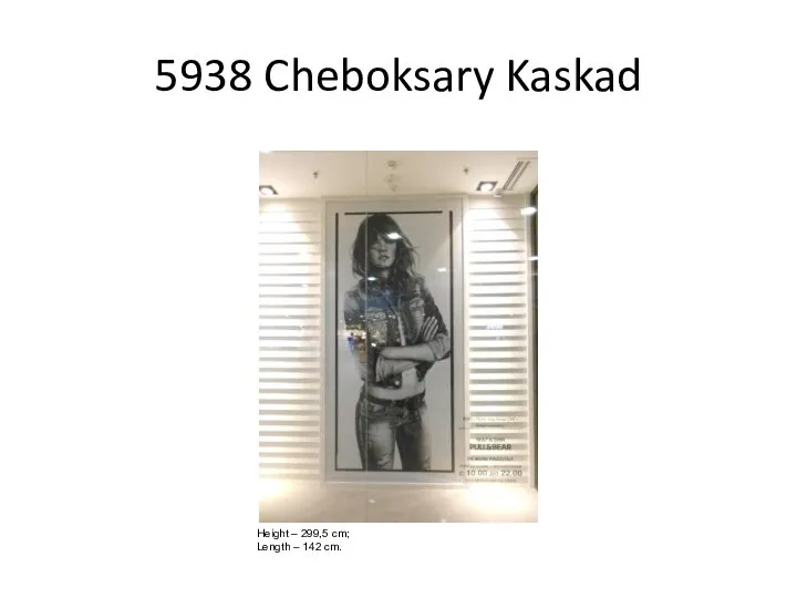 5938 Cheboksary Kaskad Height – 299,5 cm; Length – 142 cm.