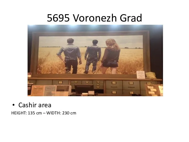 5695 Voronezh Grad Cashir area HEIGHT: 135 cm – WIDTH: 230 cm