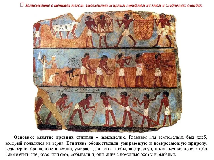 Основное занятие древних египтян – земледелие. Главным для земледельца был хлеб,