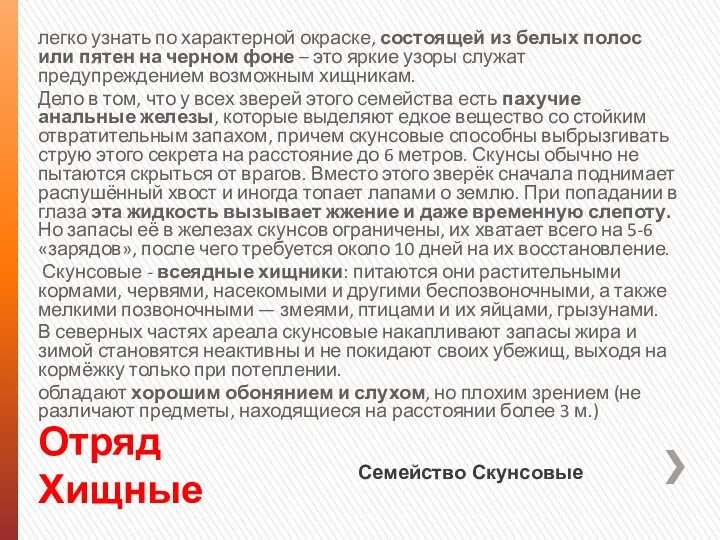 Отряд Хищные легко узнать по характерной окраске, состоящей из белых полос