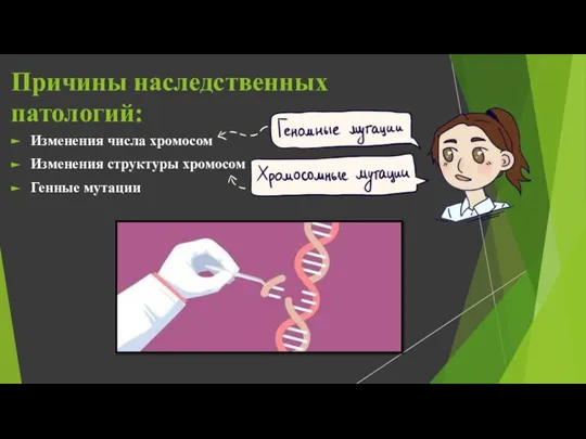 Причины наследственных патологий: Изменения числа хромосом Изменения структуры хромосом Генные мутации