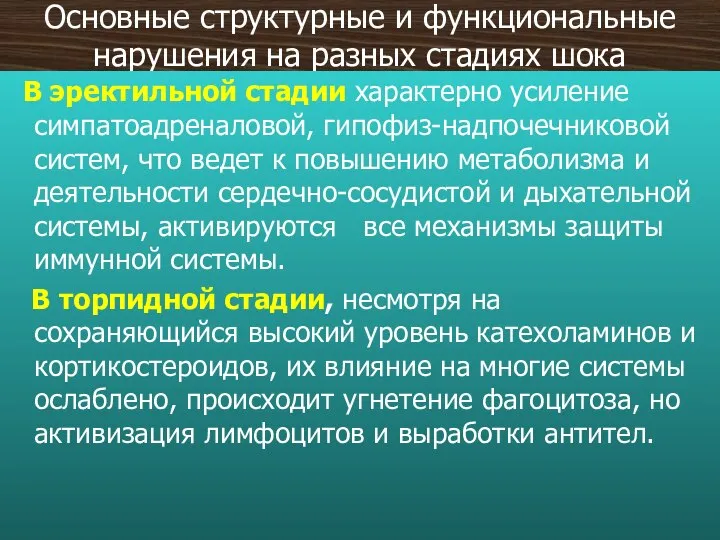 Основные структурные и функциональные нарушения на разных стадиях шока В эректильной