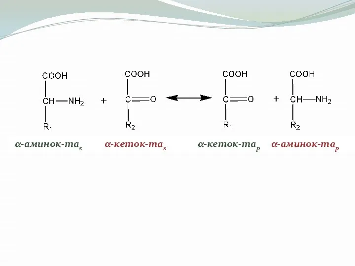 α-аминок-таs α-кеток-таs α-кеток-тар α-аминок-тар