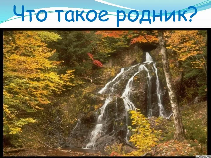 Что такое родник?