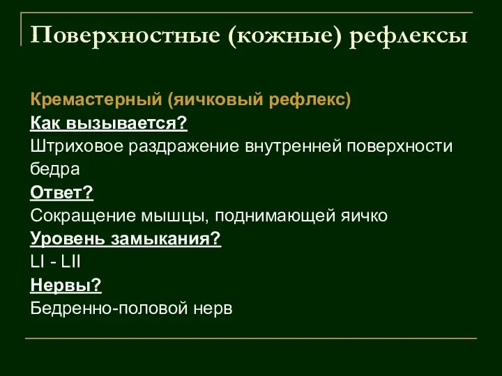 Поверхностные (кожные) рефлексы Кремастерный (яичковый рефлекс) Как вызывается? Штриховое раздражение внутренней