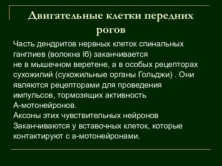 Двигательные клетки передних рогов Часть дендритов нервных клеток спинальных ганглиев (волокна