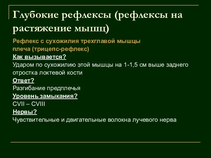 Глубокие рефлексы (рефлексы на растяжение мышц) Рефлекс с сухожилия трехглавой мышцы