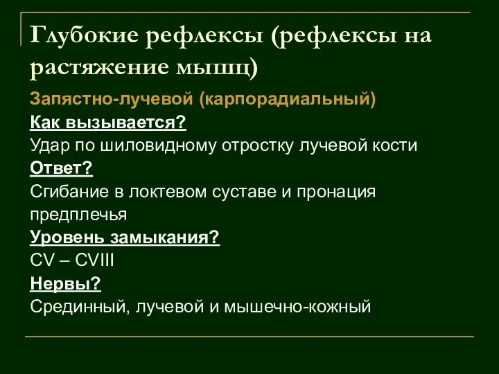 Глубокие рефлексы (рефлексы на растяжение мышц) Запястно-лучевой (карпорадиальный) Как вызывается? Удар